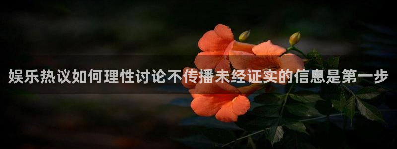 网络热门话题:娱乐热议如何理性讨论不传播未经证实的信息是第一步