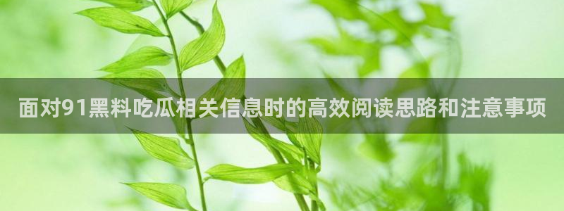 51吃瓜信息大全:面对91黑料吃瓜相关信息时的高效阅读思路和注意事项